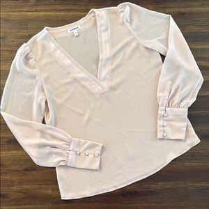 Express Light Pink V Neck Semi Sheer Blouse Small